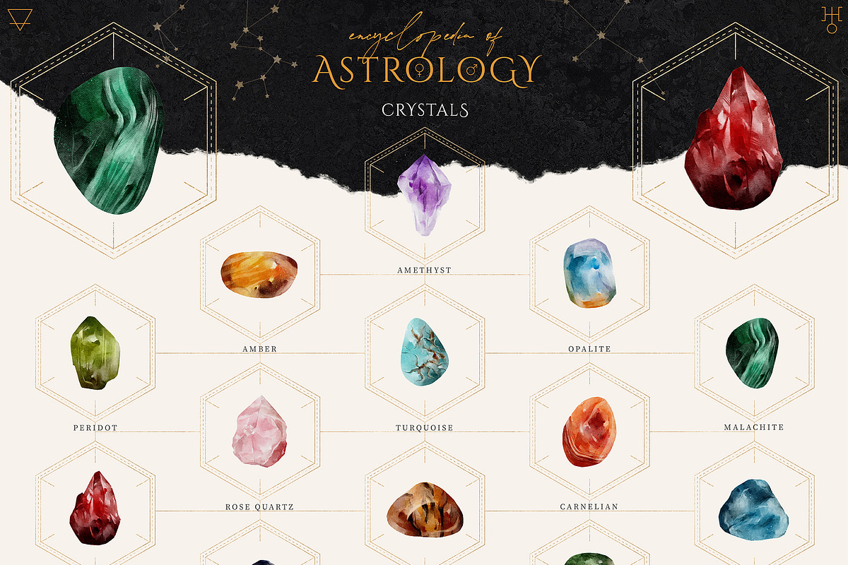 Encyclopedia of Astrology, an Animal Illustration by Julia Dreams (Photo 5 of 14)