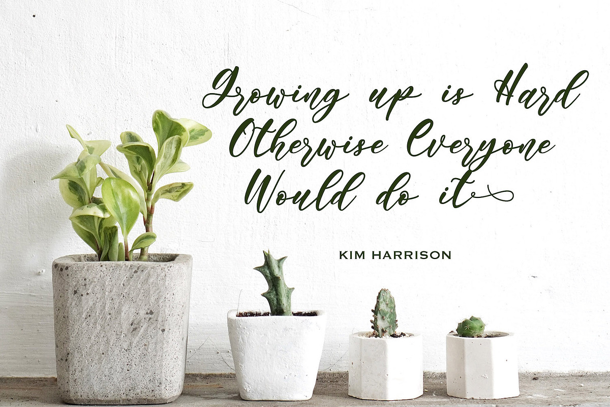 Angelina Rahmy - Modern Script Font, a Script Font by StringLabs (Photo 3 of 12)