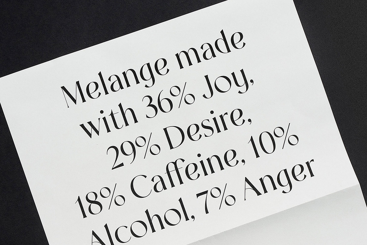 Melange - Serif Font Family, a Serif Font by Dauum Works (Photo 5 of 14)