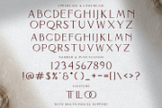 BHINEKA - Elegant Serif Font, a Serif Font by StringLabs (Thumbnail 8 of 9)