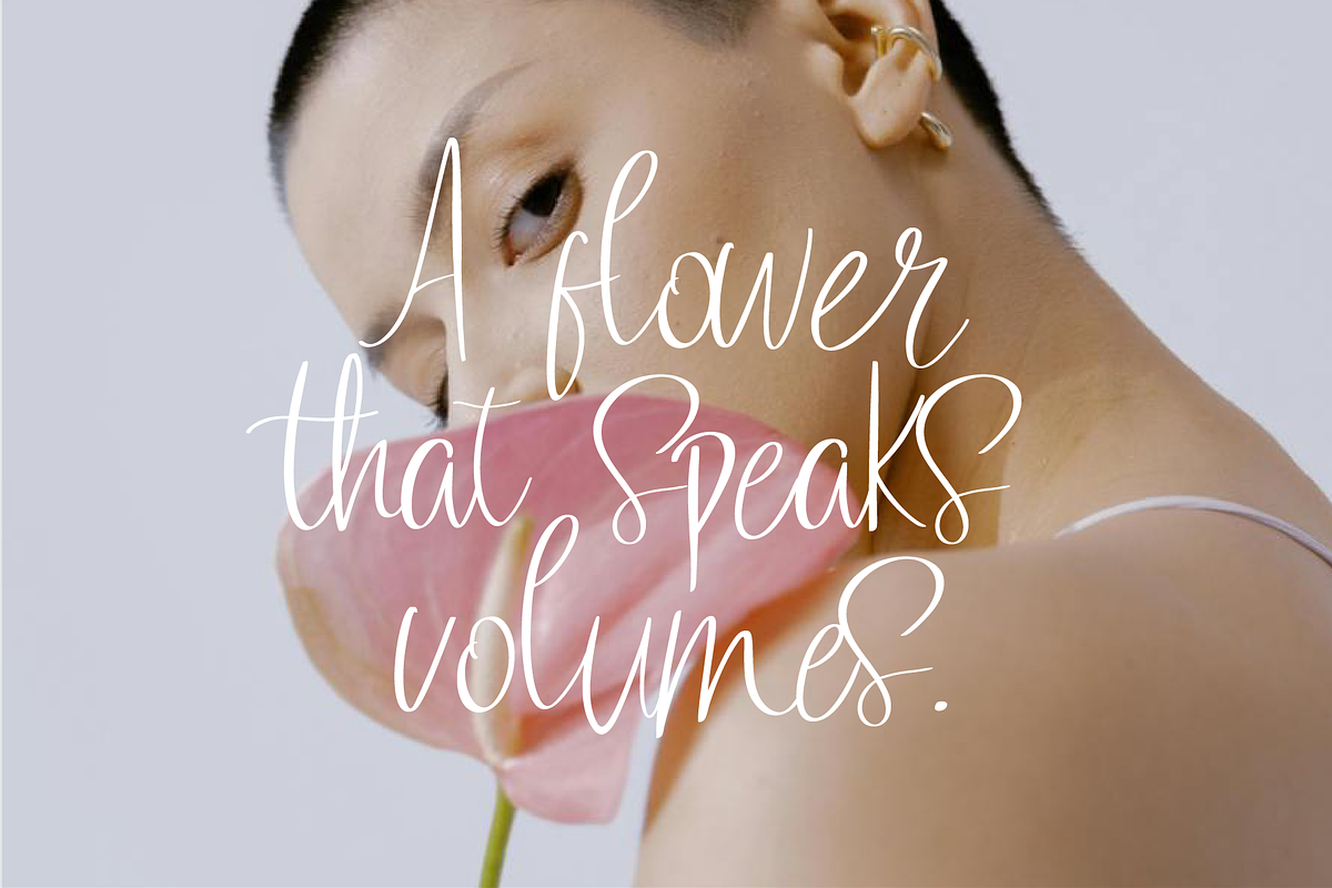 Valoria Script, a Script Font by Berdansabersama (Photo 5 of 9)