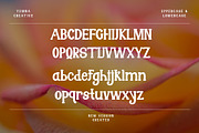 Novaith - Display Retro Font, a Handwritten Font by Dhabee (Thumbnail 5 of 14)