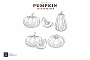 Hand Drawn Pumpkin Illustration Set, a Food Illustration by putra_purwanto (Thumbnail 3 of 3)