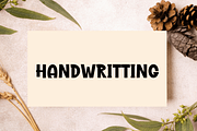 Designer Holiday, a Script Font by InermediaSTUDIO (Thumbnail 6 of 8)