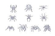 Spider Breeds Hand Drawn, an Animal Illustration by SLAB! Design (Thumbnail 3 of 3)