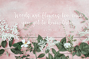 Elderflower script font + logos, a Script Font by Tabita's shop (Thumbnail 15 of 15)