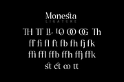 Monesta Regular, a Serif Font by ShowUp! Studio (Thumbnail 14 of 16)