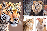 PRO Painted Painting Action, an Action Add-On by Photoshop Action (Thumbnail 1 of 5)