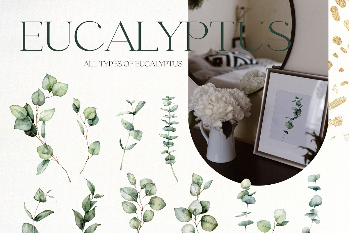 Eucalyptus watercolor leaves clipart, a Decorative Illustration by Yuliya Derbisheva (Photo 7 of 15)