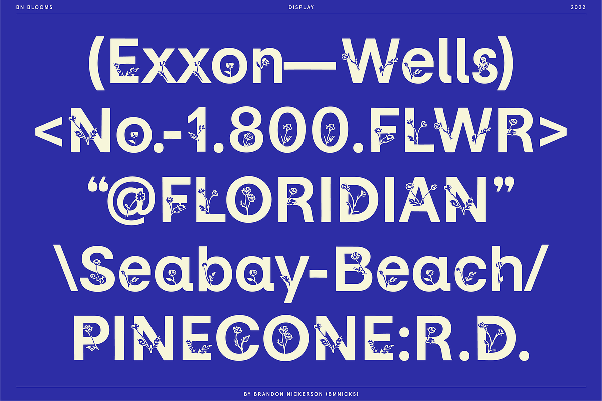 BN Blooms, a Sans Serif Font by Bnick (Photo 13 of 17)