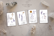 Wildflowers collage collection, a Texture Graphic by Anna Sokol (Thumbnail 11 of 21)
