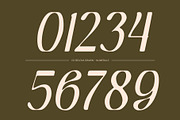 CS Belova Drawn, a Serif Font by Craft Supply Co. (Thumbnail 4 of 8)