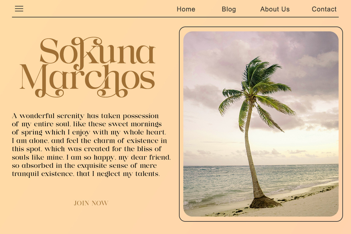 Lanchitas, a Serif Font by Gatype (Photo 9 of 10)