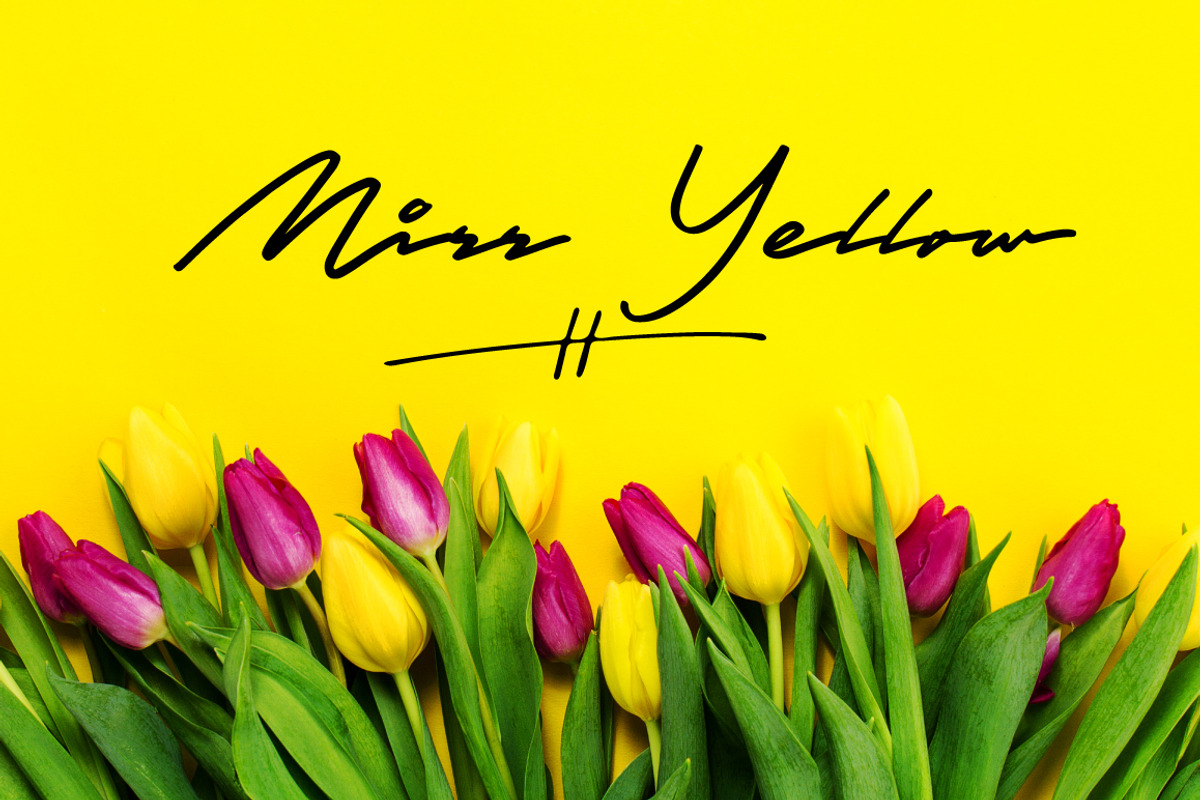 Specialist Handwritten Font preview 7