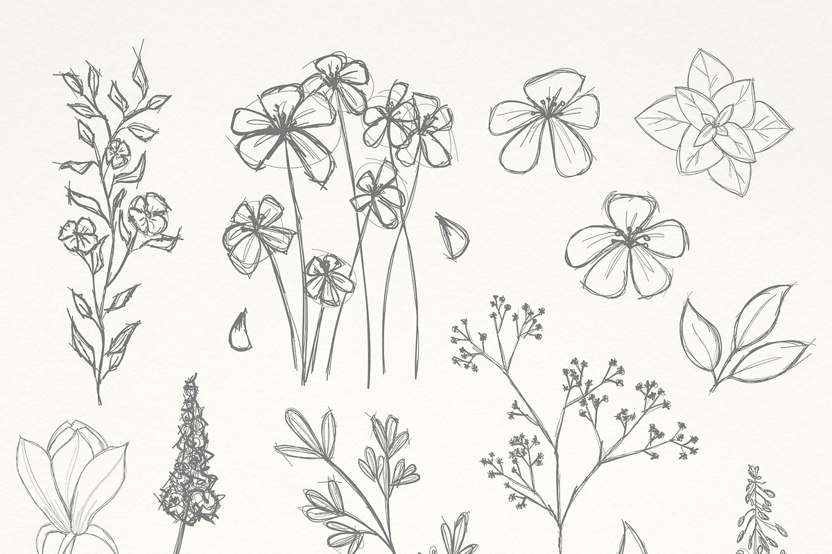 Artistic Florals & Crystals, an Illustration by amber&ink (Photo 9 of 9)