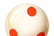 English Pool Ball Kit - 23 PNG,JPG, a Sport Illustration by Flash My Pixel (Thumbnail 21 of 23)