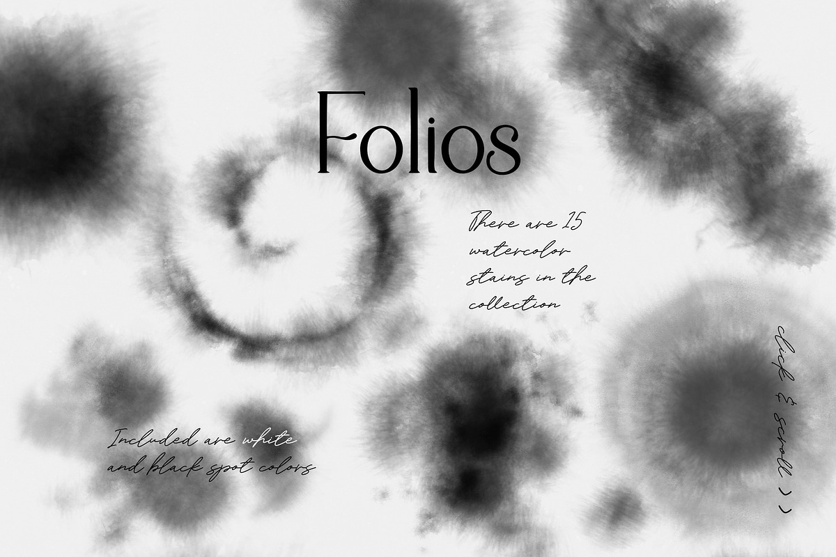 Folios. Botanical illustrations, an Object Illustration by Colden Blue (Photo 10 of 13)