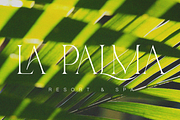 Bechilo – Modern Serif Font, a Serif Font by Yahya Type (Thumbnail 5 of 25)