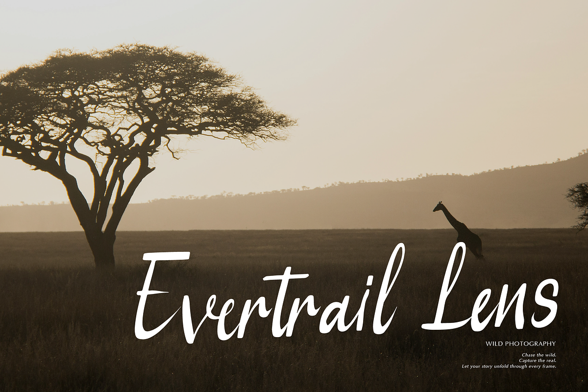 Serena Note Casual Handwritten Font, a Handwritten Font by gracetype_studio (Photo 3 of 12)