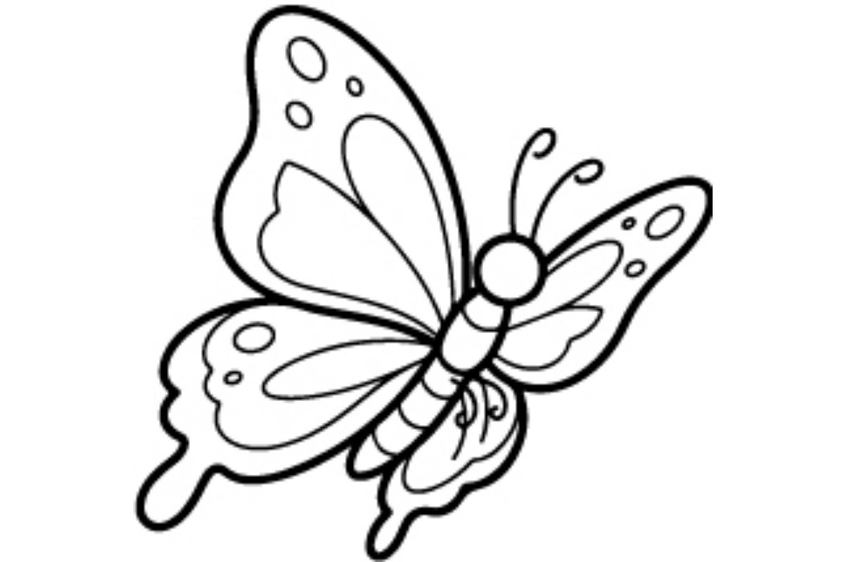 Butterfly SVG Bundle, an Object Graphic by Gfx_Store (Photo 9 of 16)