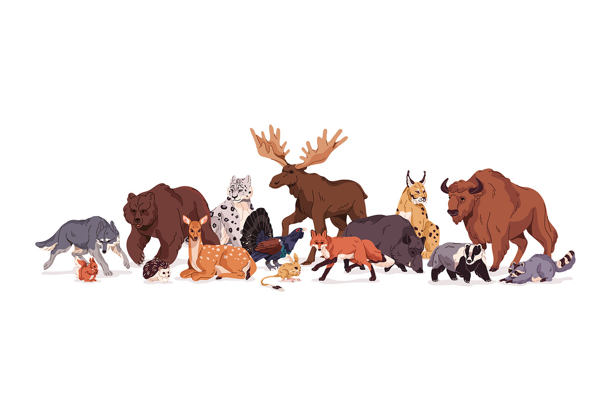 Wild forest animals set, patterns, an Animal Illustration by PaperTrident (Photo 4 of 6)
