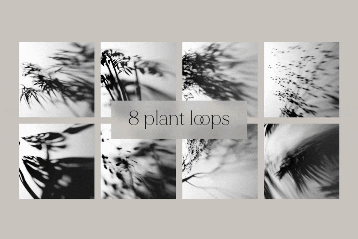 Sunplay light & shadow overlay loops, a Presentation Template by JHålands' Digital Goods (Photo 5 of 8)