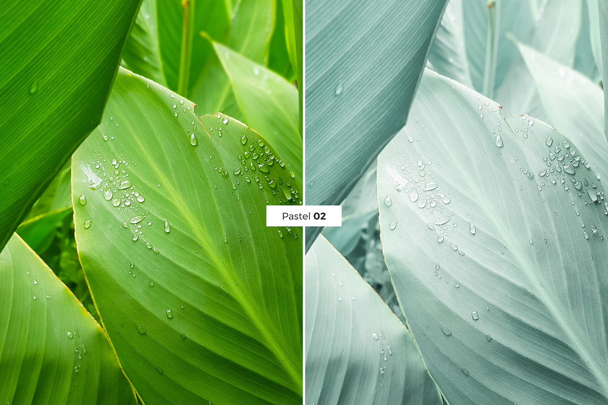 4 Lightroom Presets PASTEL, an Action Add-On by Graace Studio (Photo 6 of 8)