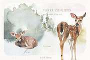 Woodland Babies Wild Animals Clipart, an Animal Illustration by whiteheartdesign (Thumbnail 3 of 28)