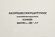 Povape - Elegant Editorial Serif Ty, a Serif Font by Astuti Studio (Thumbnail 2 of 16)