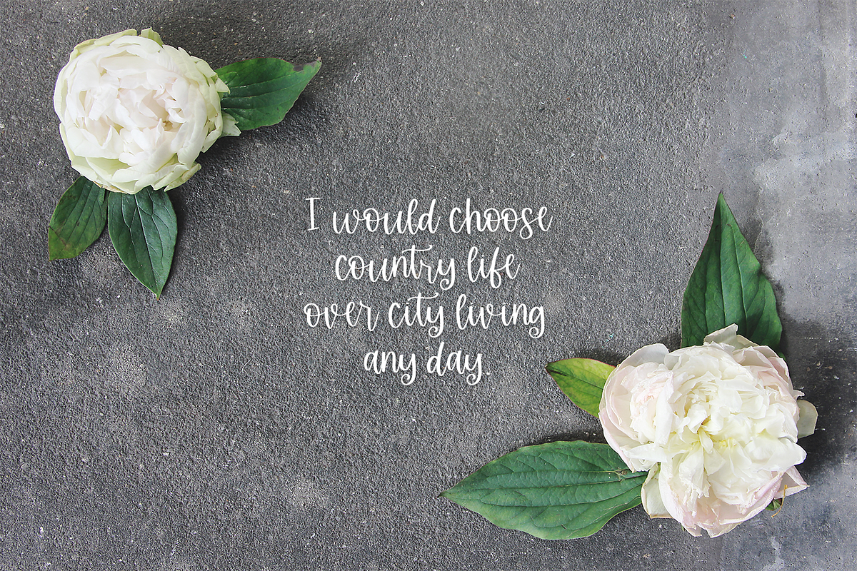 Stirling Cottage Script, a Script Font by Beck McCormick (Photo 8 of 10)