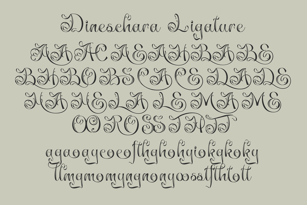 Dineschara Elegant Script, a Script Font by TypeClassHeroes (Photo 10 of 10)