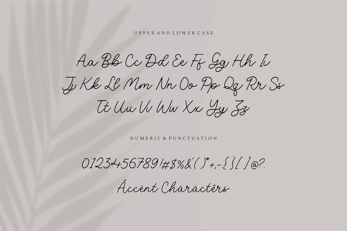 Volatile - Monoline Script Font, a Script Font by Letterative Studio (Photo 6 of 7)