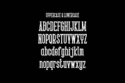 Krichy - Display Font, a Serif Font by lelevien (Thumbnail 3 of 4)