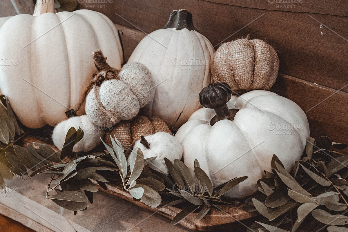 Fall Stock Photo Bundle Pumpkins, a Holiday Photo by Hudson Farmhouse (Photo 2 of 5)