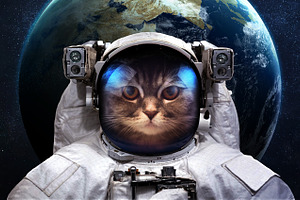 Cat astronaut in outer space spacewalk elements of this image furnished by