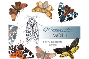 Watercolor Clipart. Moth Boho Png