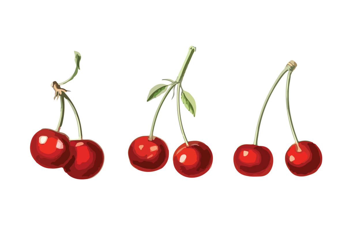 3 Vector Cherry Illustrations, a Food Illustration by Theresa Barba