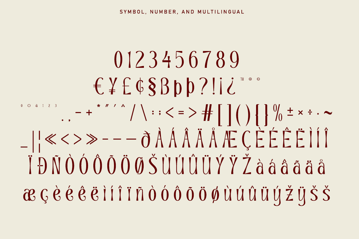 Channery - Modern Ligatures Font, a Serif Font by Say Studio (Photo 13 of 13)