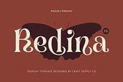 CS Redina – Fantasy Font, a Serif Font by Craft Supply Co. (Thumbnail 1 of 8)