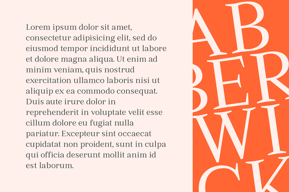 Abberwick - Modern Elegant Serif preview 6