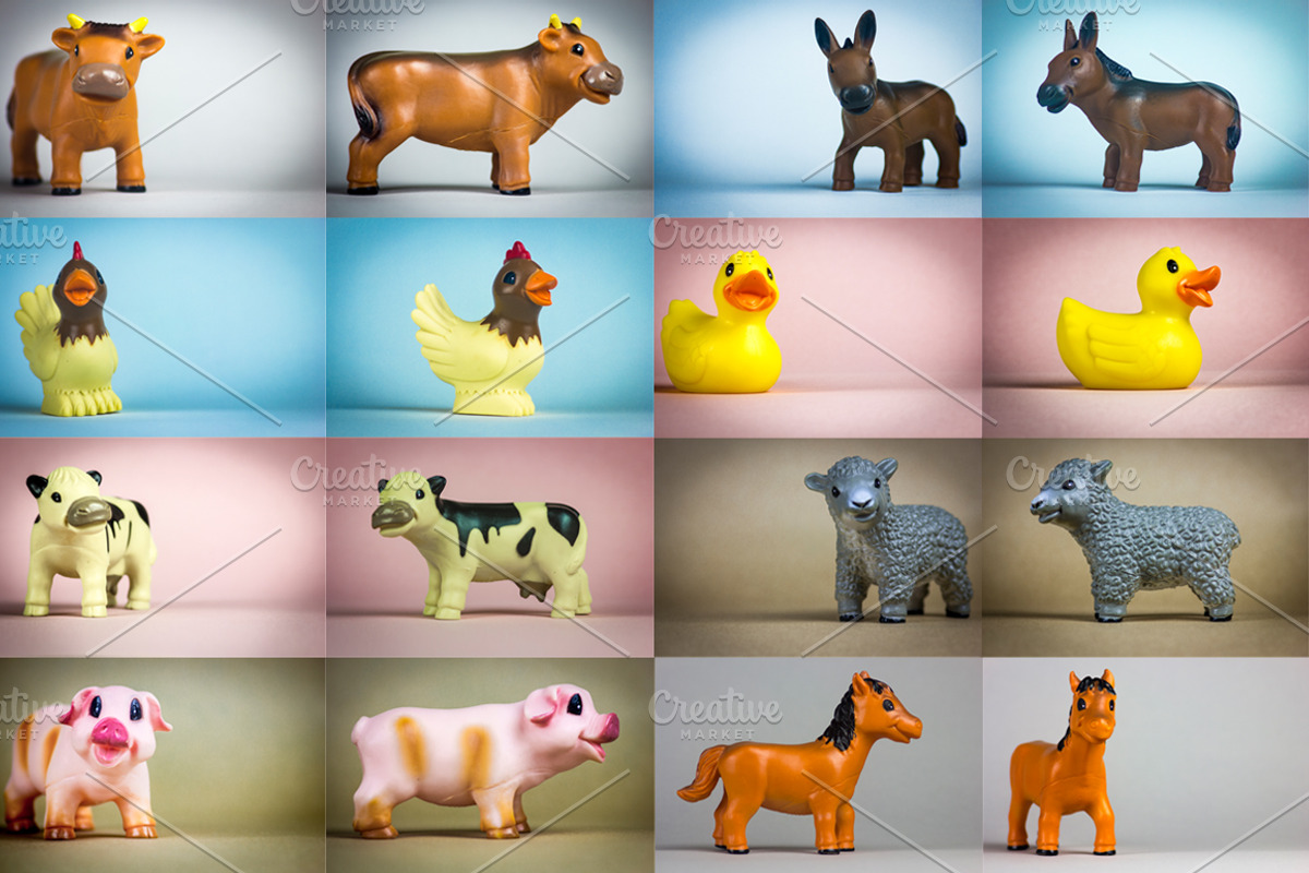 Happy Farm Animals, an Animal Photo by Compositor's Corner (Photo 2 of 5)