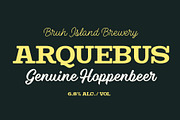 Steak & Cheese Bundle, a Slab Serif Font by Fenotype (Thumbnail 14 of 14)