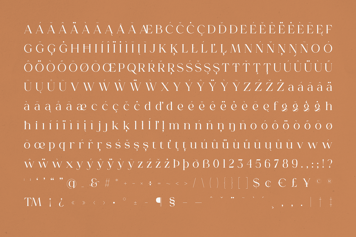 Gorga Type - Elegant Serif Typeface, a Serif Font by VP Fonts (Photo 17 of 18)