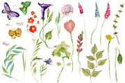 Nature Collection watercolour flower, a Decorative Illustration by ElenazlataArt (Thumbnail 2 of 8)