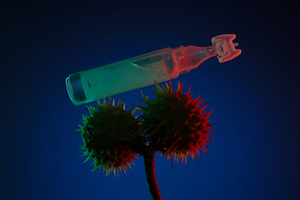 Close-up of a medical ampoule balanced on two spiky castor seeds, a Health & Medical Photo by Ales Munt