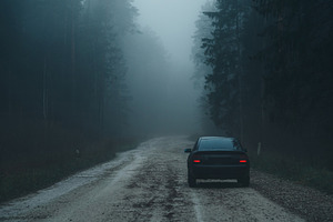 Autumn misty landscape. Car on a dirt road , pine forest , thick fog