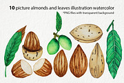 Almonds Watercolors Illustration, an Illustration by andypray (Thumbnail 3 of 5)