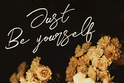 Midnight Brush & SVG Font, a Script Font by Cruzine (Thumbnail 18 of 19)