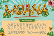 Baluthi - Hawaiian Bamboo Display, a Sans Serif Font by Artisan Themes (Thumbnail 7 of 12)