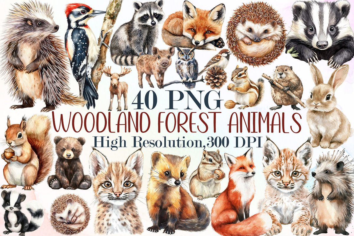 Woodland Clipart Forest Animals Set, an Illustration by Sublimation Artist (Photo 1 of 6)